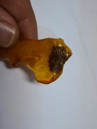 Colgante ámbar natural en plata de ley