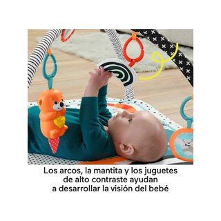 Mattel HPF39 Fisher-Price gimnasio musical