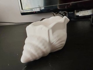 Portacandele/svuotatasche gesso a forma di conchig