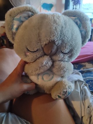 Peluche Koala Suave