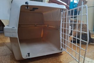 Transportín gato/perro pequeño