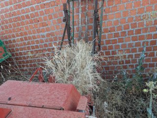 Empacadora Massey Ferguson 15-8