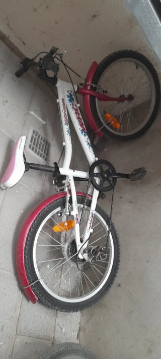 Bicicleta niña hasta 10 años