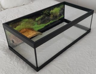 Tortuguera con rampa y luz