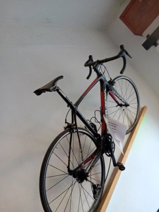 Bicicleta Olympia Ergo RS