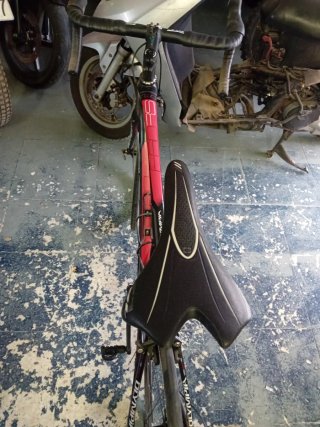 Bicicleta Olympia Ergo RS