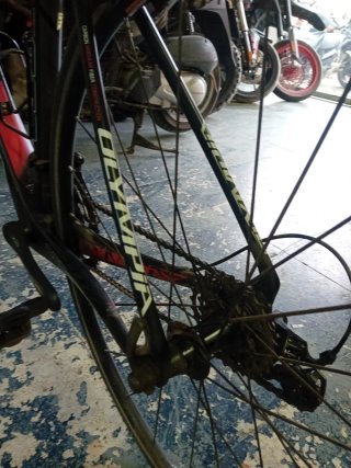 Bicicleta Olympia Ergo RS