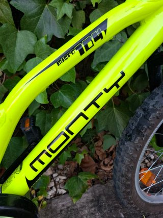 Bicicleta Monty 18' Infantil Neón