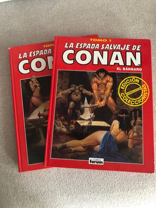 La espada salvaje de conan