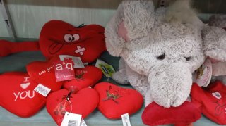 Lote de peluches variados