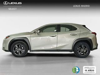 Lexus UX 2.0 250h Business City