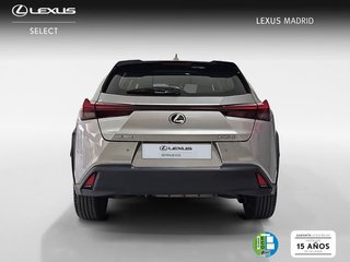 Lexus UX 2.0 250h Business City