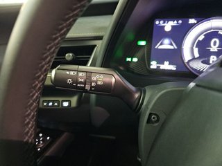 Lexus UX 2.0 250h Business City