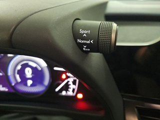 Lexus UX 2.0 250h Business City