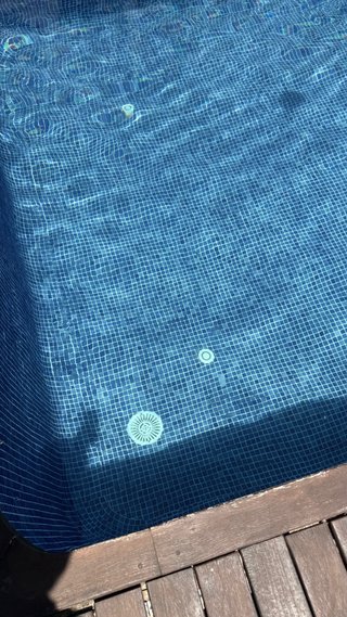 Mantenimiento y limpieza piscina