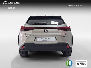 Lexus UX 2.0 250h Style