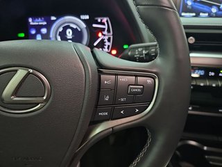 Lexus UX 2.0 250h Style