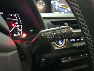 Lexus UX 2.0 250h Style