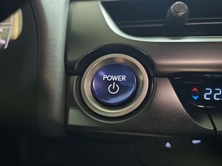 Lexus UX 2.0 250h Style