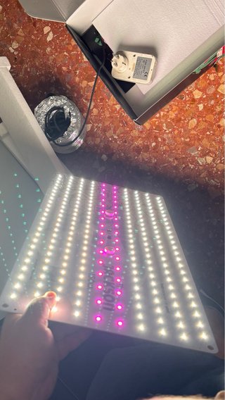 Panel LED Pro cultivo 150W GBLighting x The Jungle