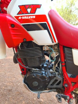 Yamaha XT 600 43F