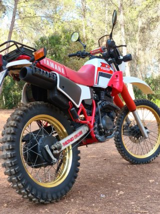 Yamaha XT 600 43F