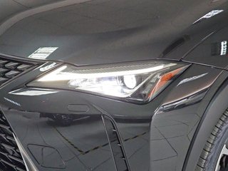 Lexus UX 2.0 250h Premium