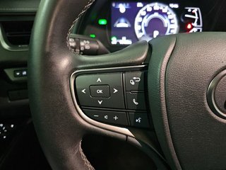 Lexus UX 2.0 250h Premium