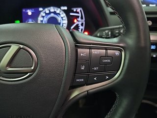 Lexus UX 2.0 250h Premium