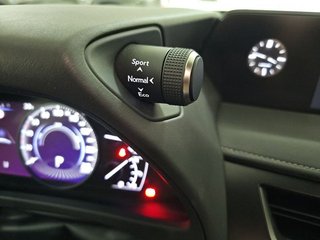 Lexus UX 2.0 250h Premium