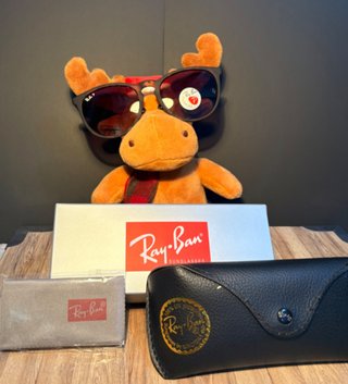Ray-Ban Erika RB4171 Polarized 52□18 Havana Mate |