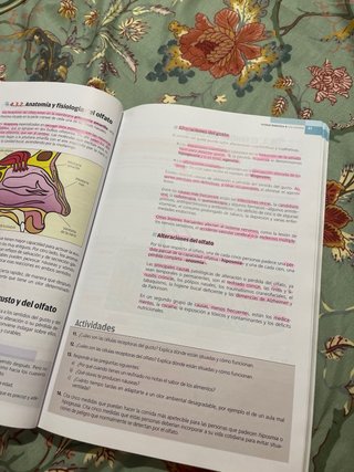 Anatomofisiología y patología básicas familia p...