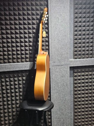 Guitarra Clásica Bamboo BG39-BE Belle