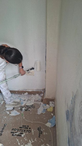 Servicios de pintura y decoración