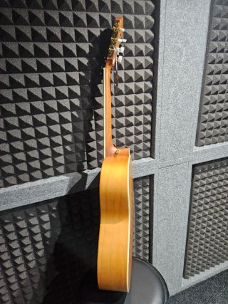 Guitarra Clásica Bamboo BG-39-MH Mahori