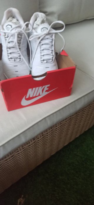 Zapatillas Nike Air Max Plus Talla 40