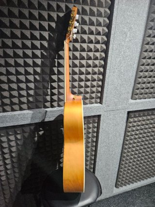 Guitarra Clásica Bamboo BG39-LM Lotus