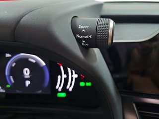 Lexus UX 2.0 300h UX Plus