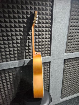 Guitarra Clásica Bamboo BG39-FE Feline