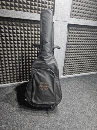 Guitarra Clásica Bamboo BG39-FE Feline