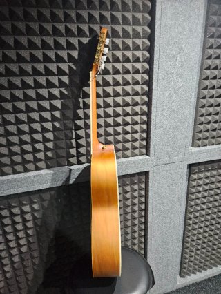 Guitarra Clásica Bamboo BG39-JD Jade