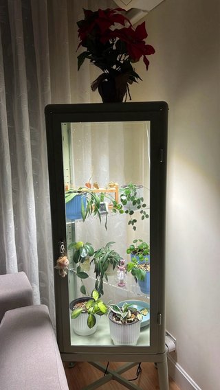 Vitrina IKEA FABRIKÖR verde tuneada para plantas
