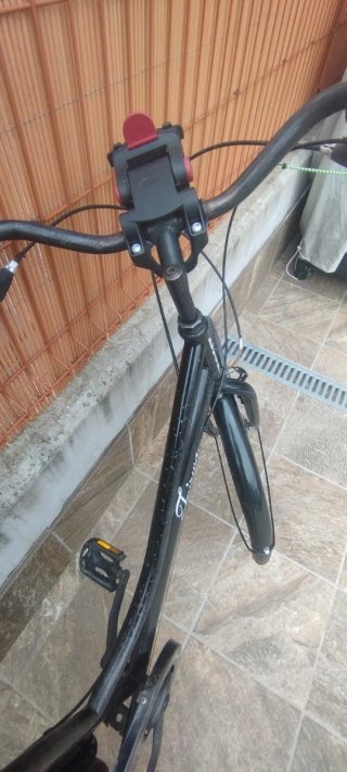 Bicicleta negra de paseo