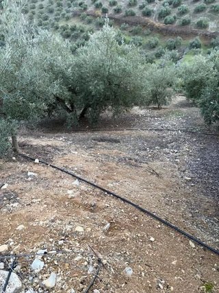 Terreno en venta en Priego de Córdoba