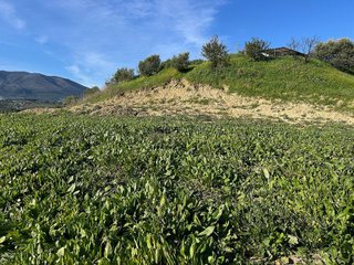 Terreno en venta en Pinos de Alhaurín - Periferia en Alhaurín de la Torre