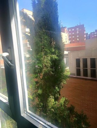 Piso en alquiler en Pajarillos en Valladolid