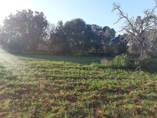 Terreno en venta en Muro en Muro