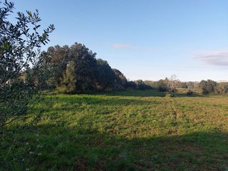 Terreno en venta en Muro en Muro