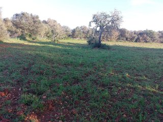 Terreno en venta en Muro en Muro