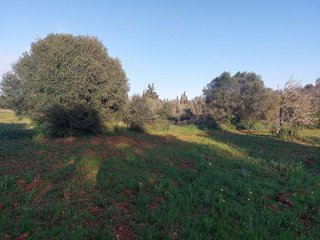 Terreno en venta en Muro en Muro